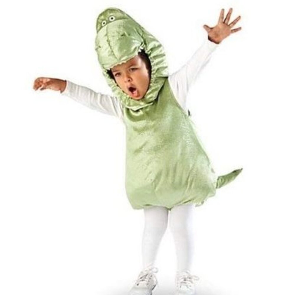 Disney Toy Story Green Dinosaur Costume for Toddlers